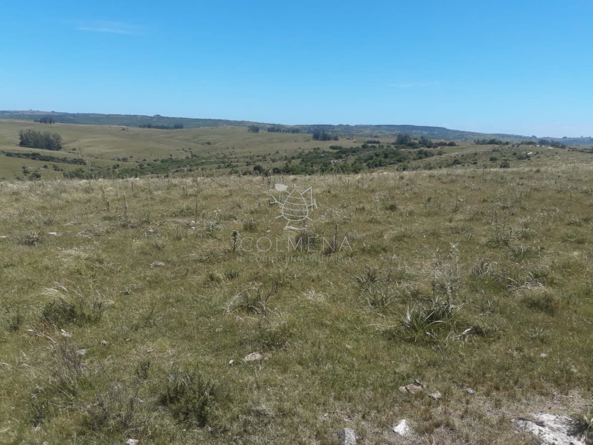 Campo en Carape - Departamento de Maldonado