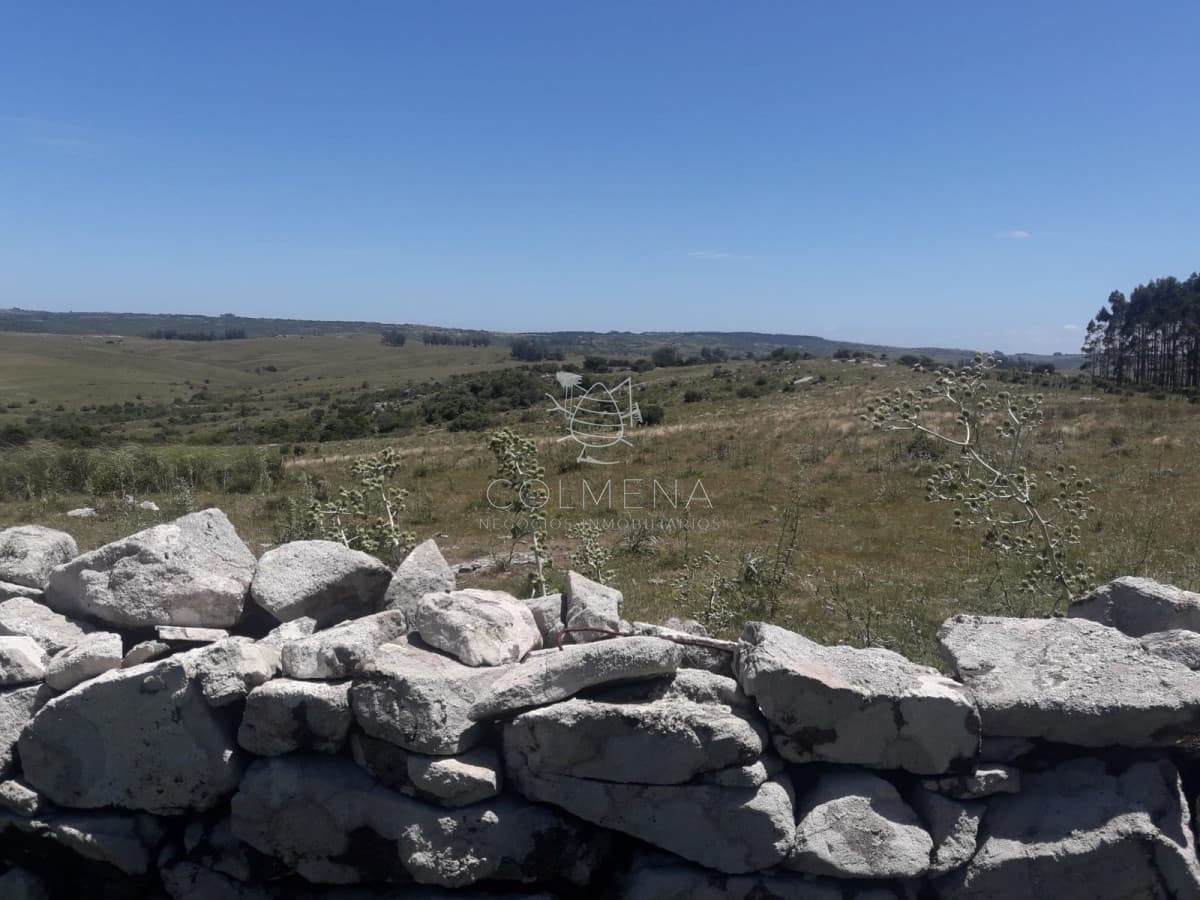 Campo en Carape - Departamento de Maldonado