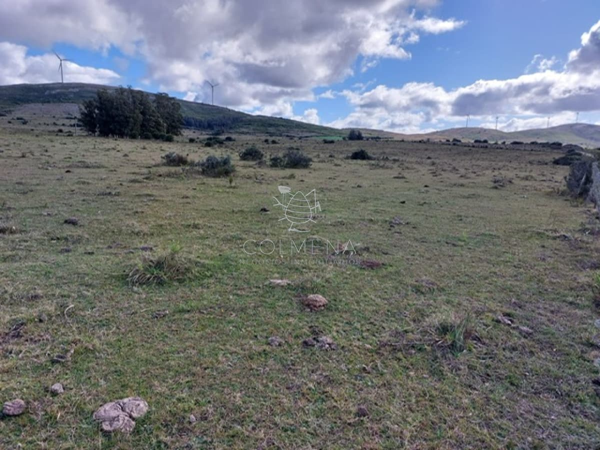 Campo en partido norte