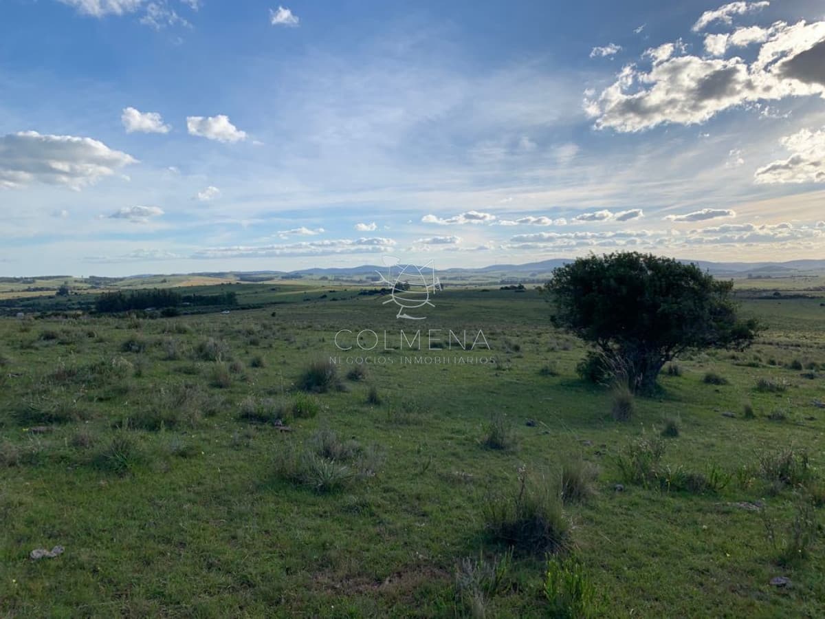 Campo cerca ruta 39 en las Cañas