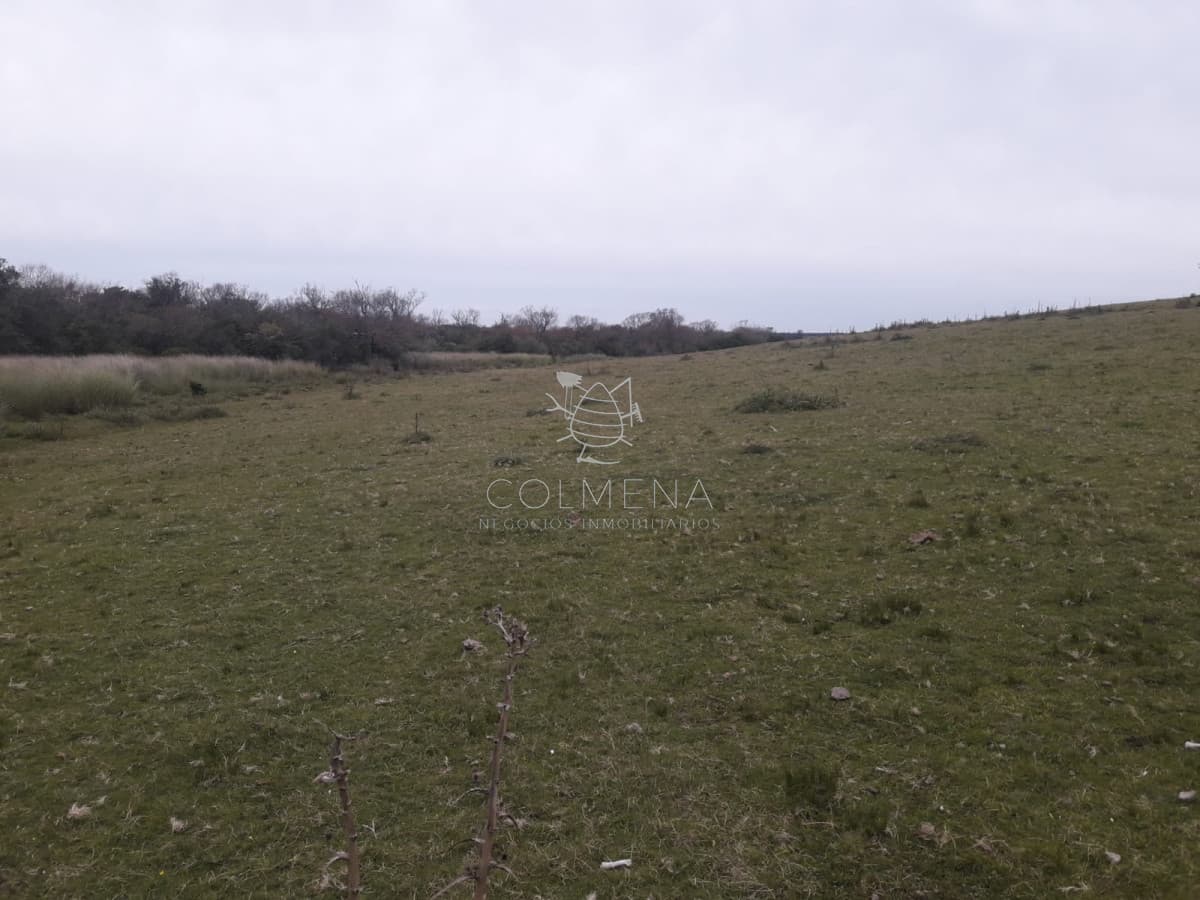 Campo a 5 km de pueblo Garzon - Coneat 106