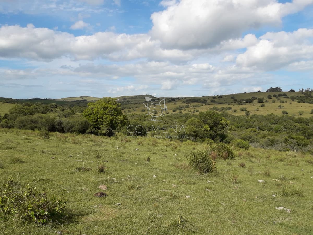 Campo cerca de Pueblo Eden - Consulte !!!!!!!