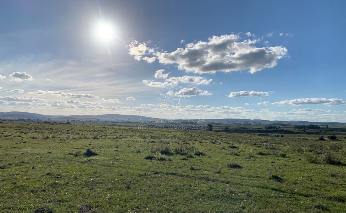 Campo cerca ruta 39 en las Cañas