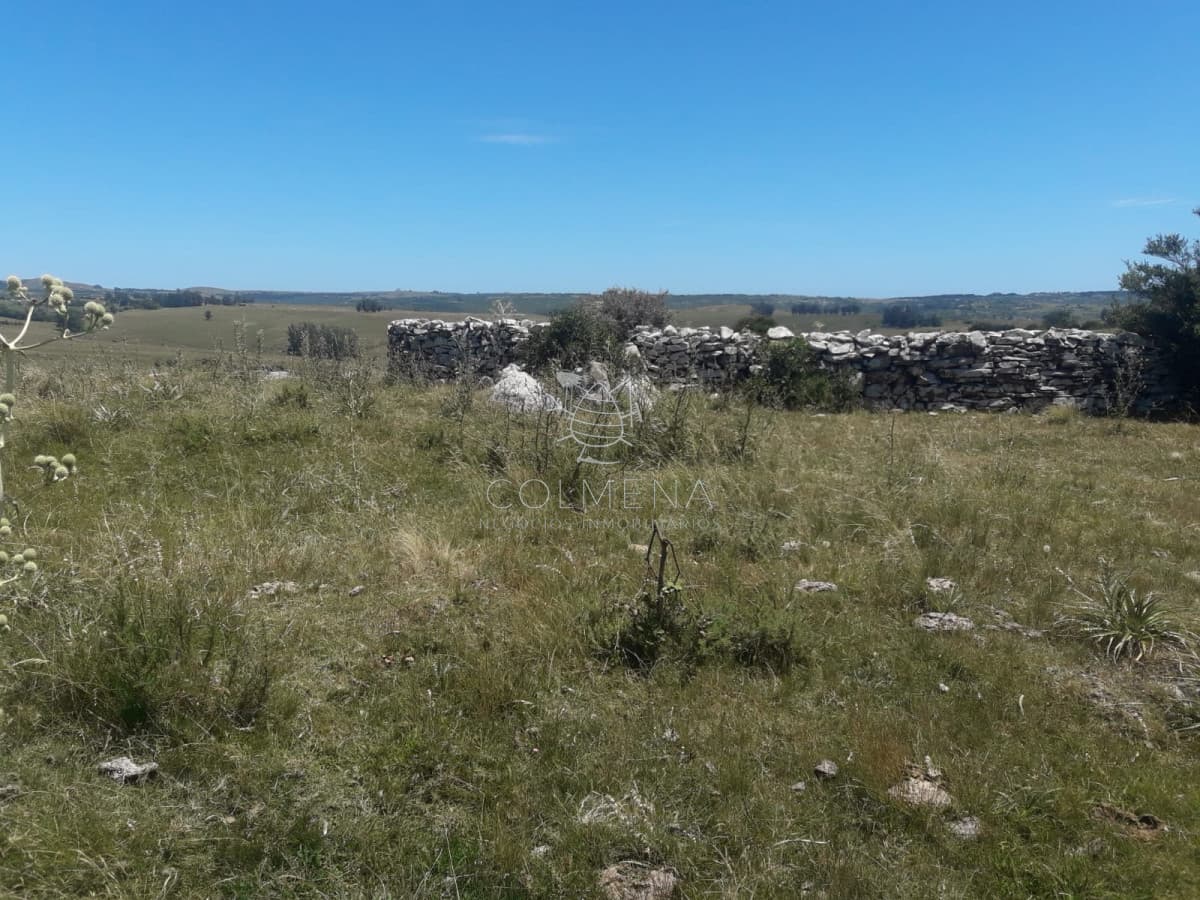 Campo en Carape - Departamento de Maldonado