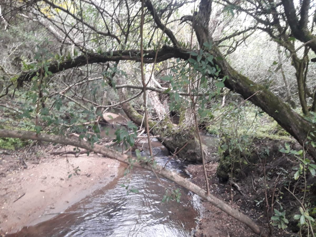 Campo a 5 km de pueblo Garzon - Coneat 106