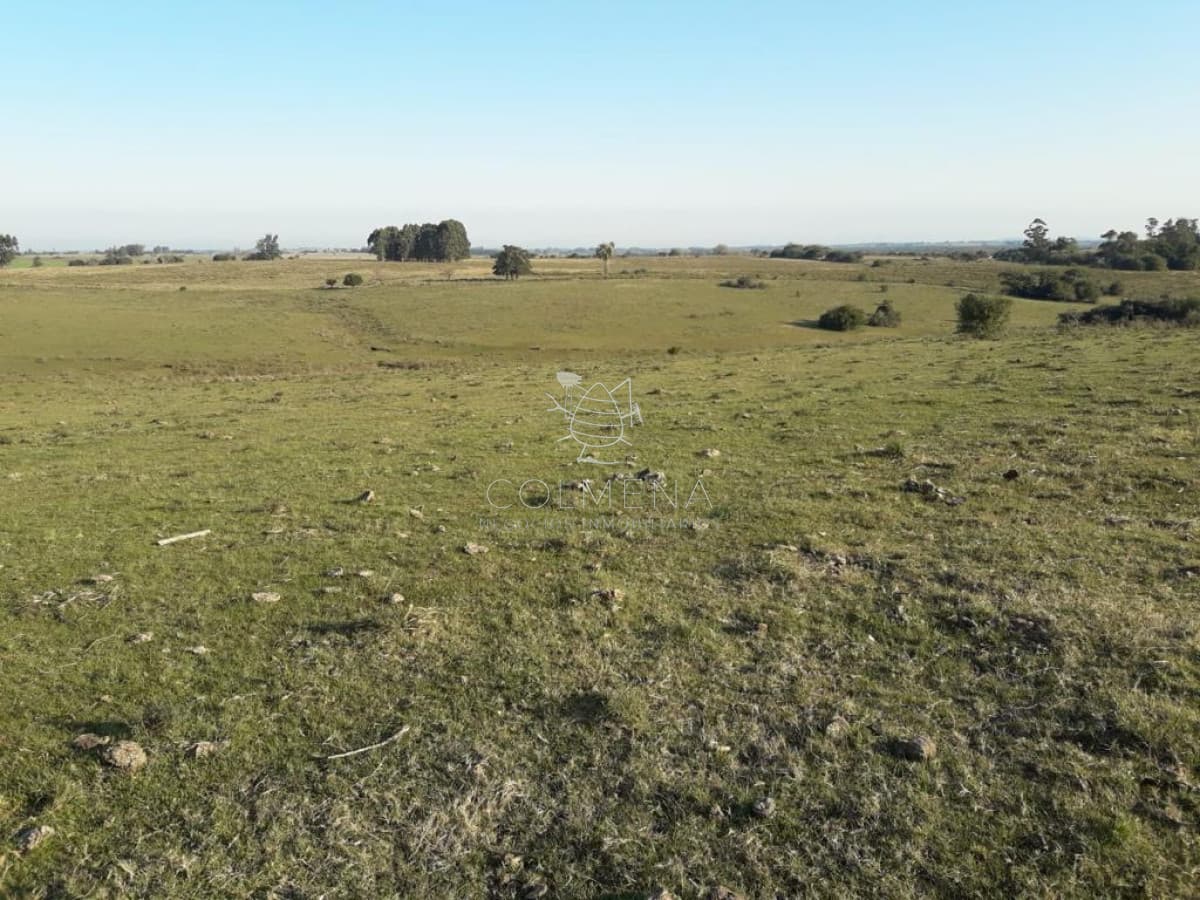 Campo de 66 has con 1991 m2 - En Corte la Leña - Consulte!!!