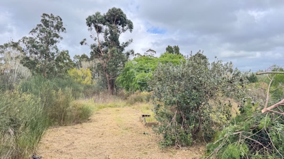 Terreno en camino cerro Eguzquiza