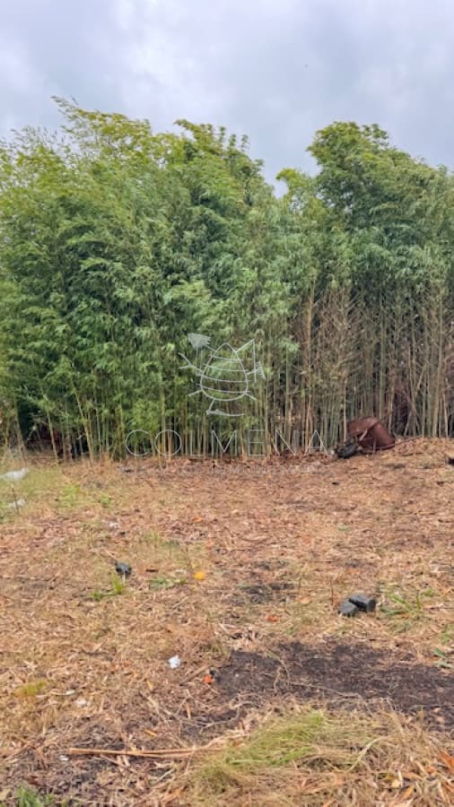 Terreno en camino cerro Eguzquiza