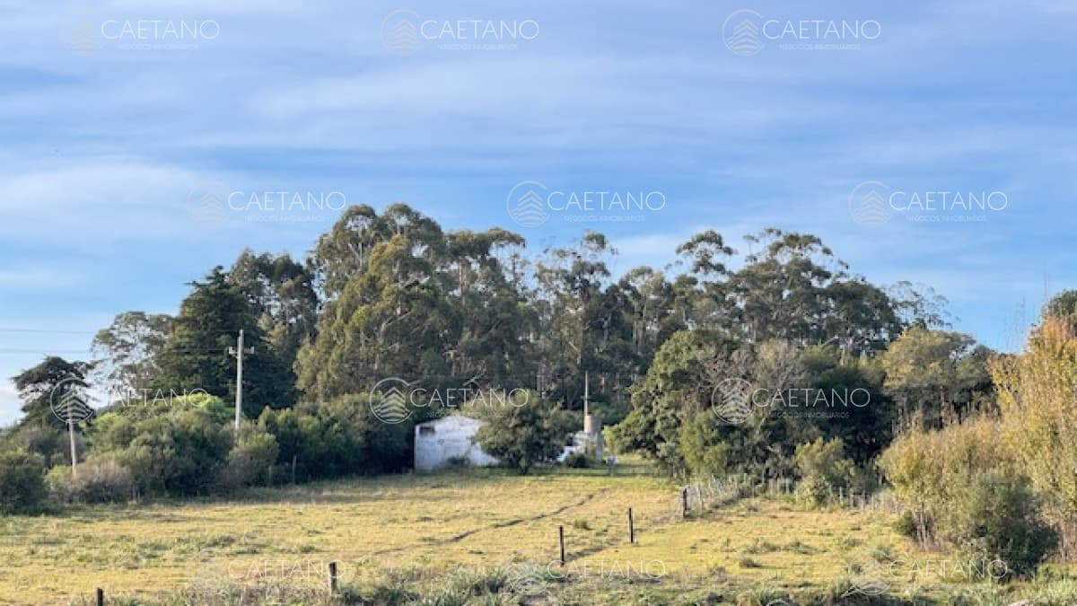 Campo de 4 has 1602 m2 muy cerca de ruta 12 y la 9.