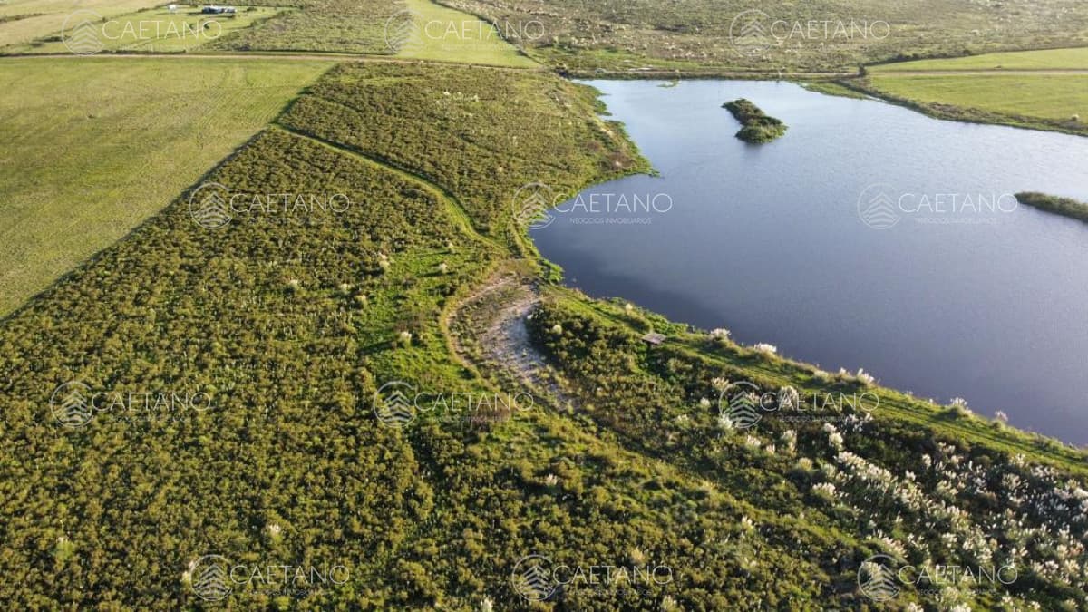 Campo con 300 m  de frente a laguna, cuenta con un islote lugar muy pintoresco.