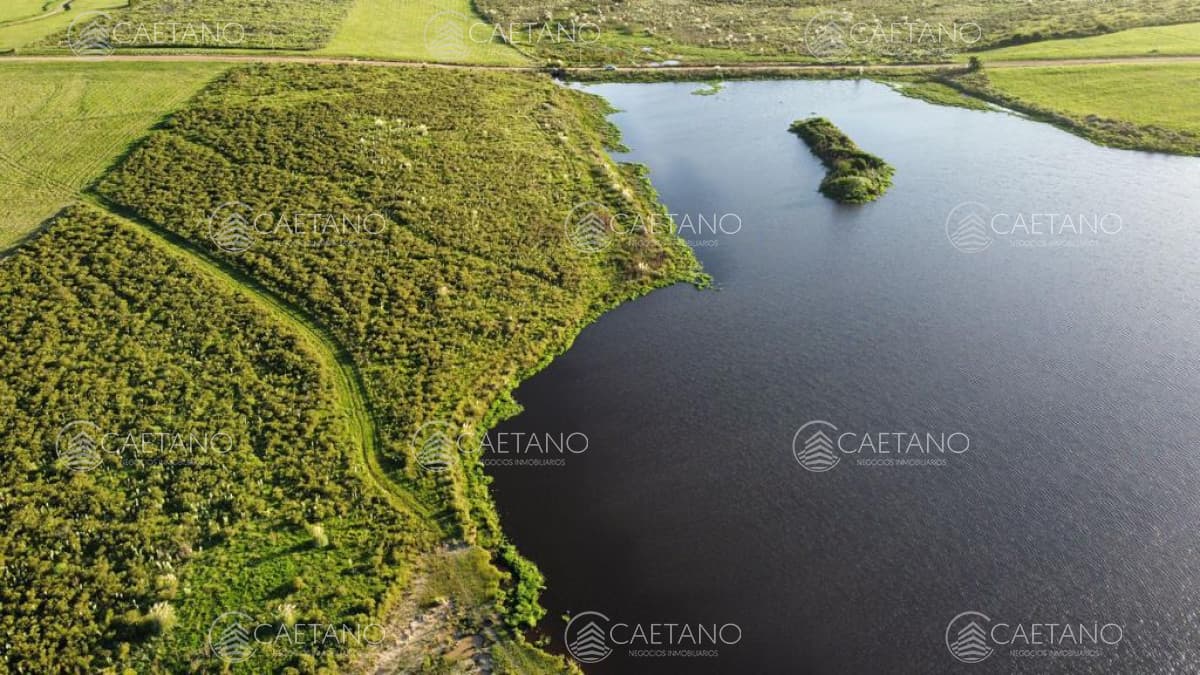 Campo con 300 m  de frente a laguna, cuenta con un islote lugar muy pintoresco.