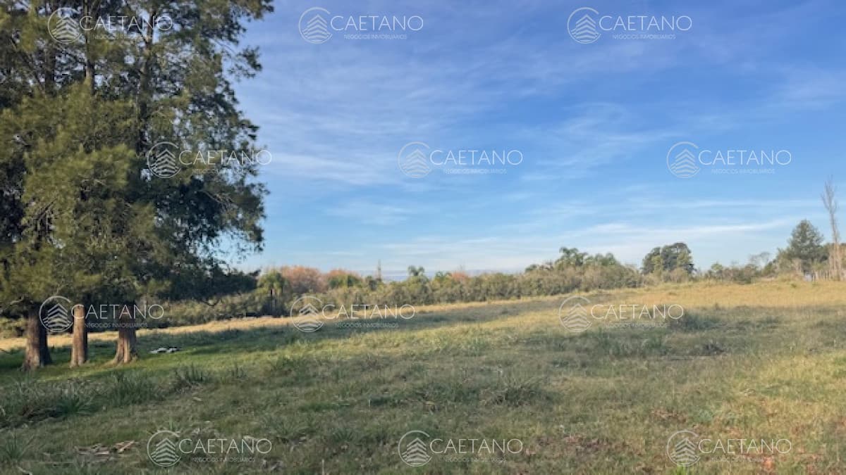 Campo de 4 has 1602 m2 muy cerca de ruta 12 y la 9.