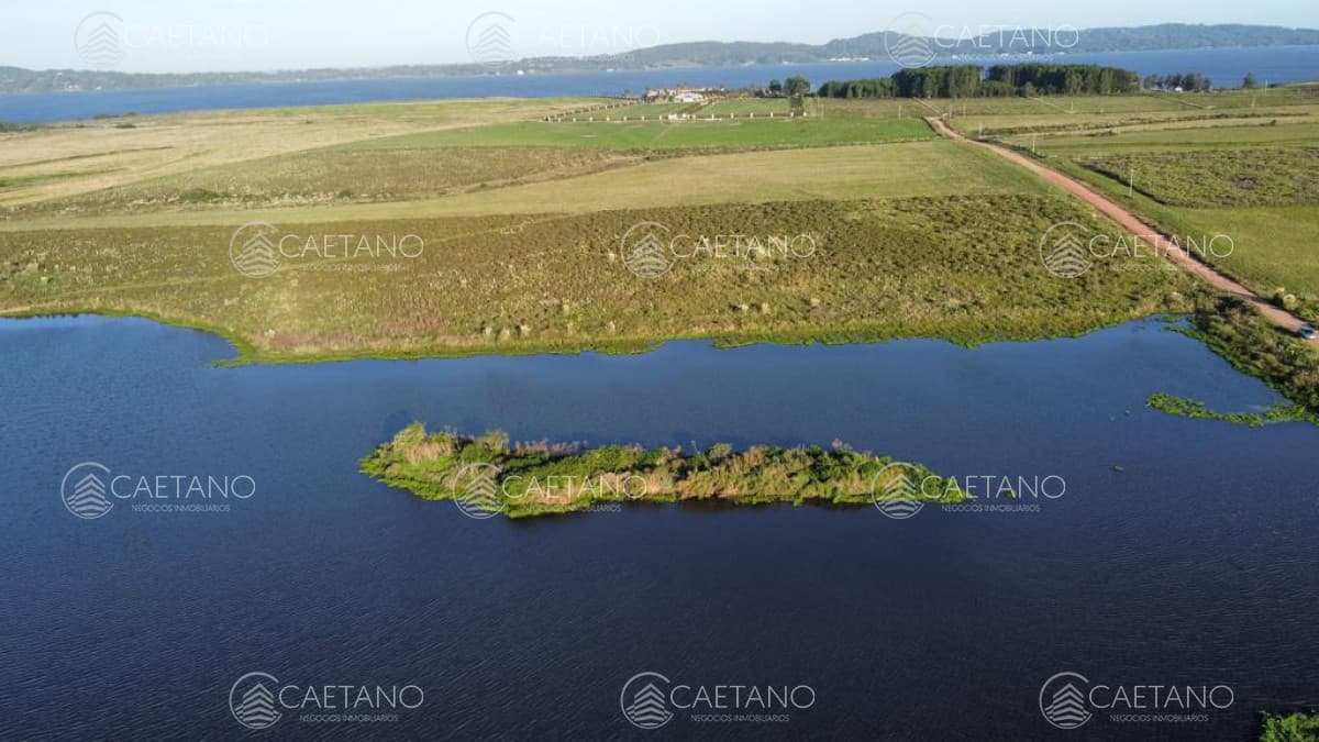 Campo con 300 m  de frente a laguna, cuenta con un islote lugar muy pintoresco.