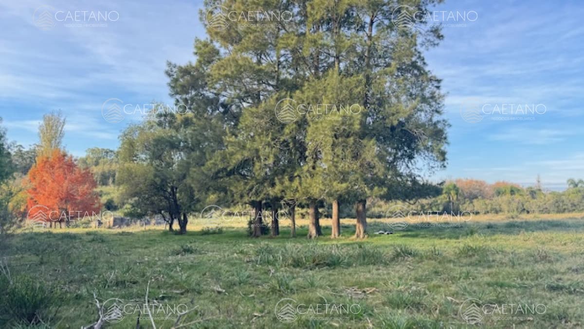Campo de 4 has 1602 m2 muy cerca de ruta 12 y la 9.