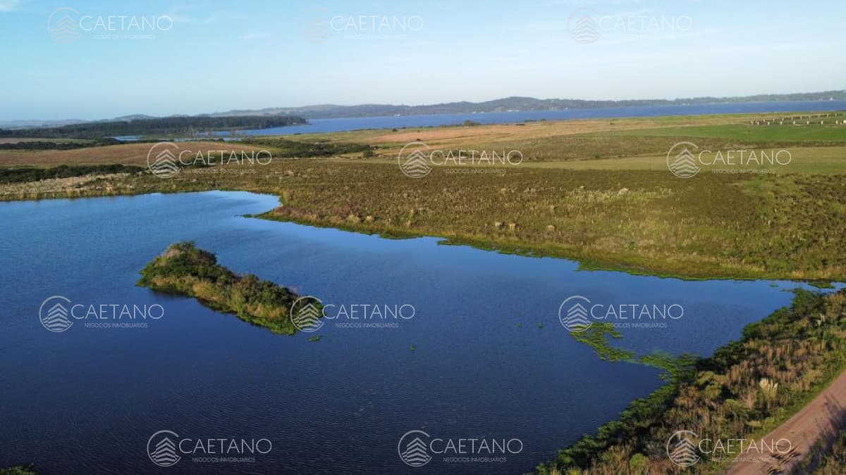 Campo con 300 m  de frente a laguna, cuenta con un islote lugar muy pintoresco.