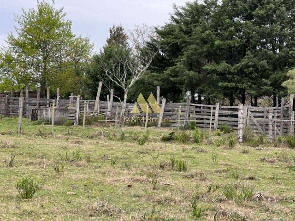 Campo de 22 has 6862 m2 cerca de Punta del Este  -