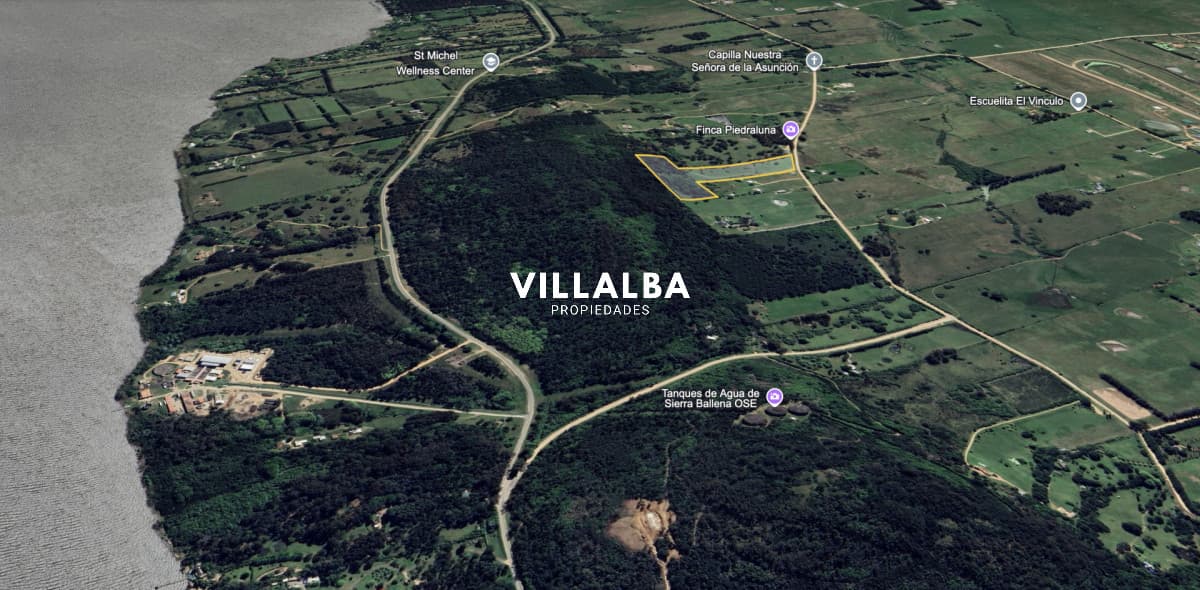 Campo de 5 has con 4658 m2 en La Pataia
