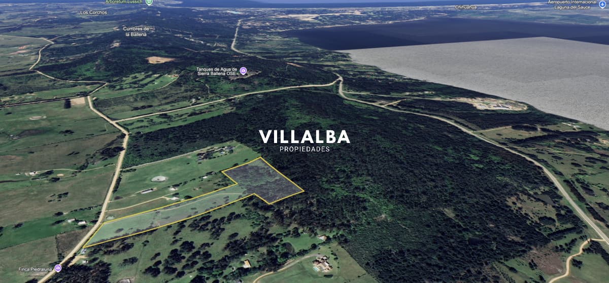 Campo de 5 has con 4658 m2 en La Pataia