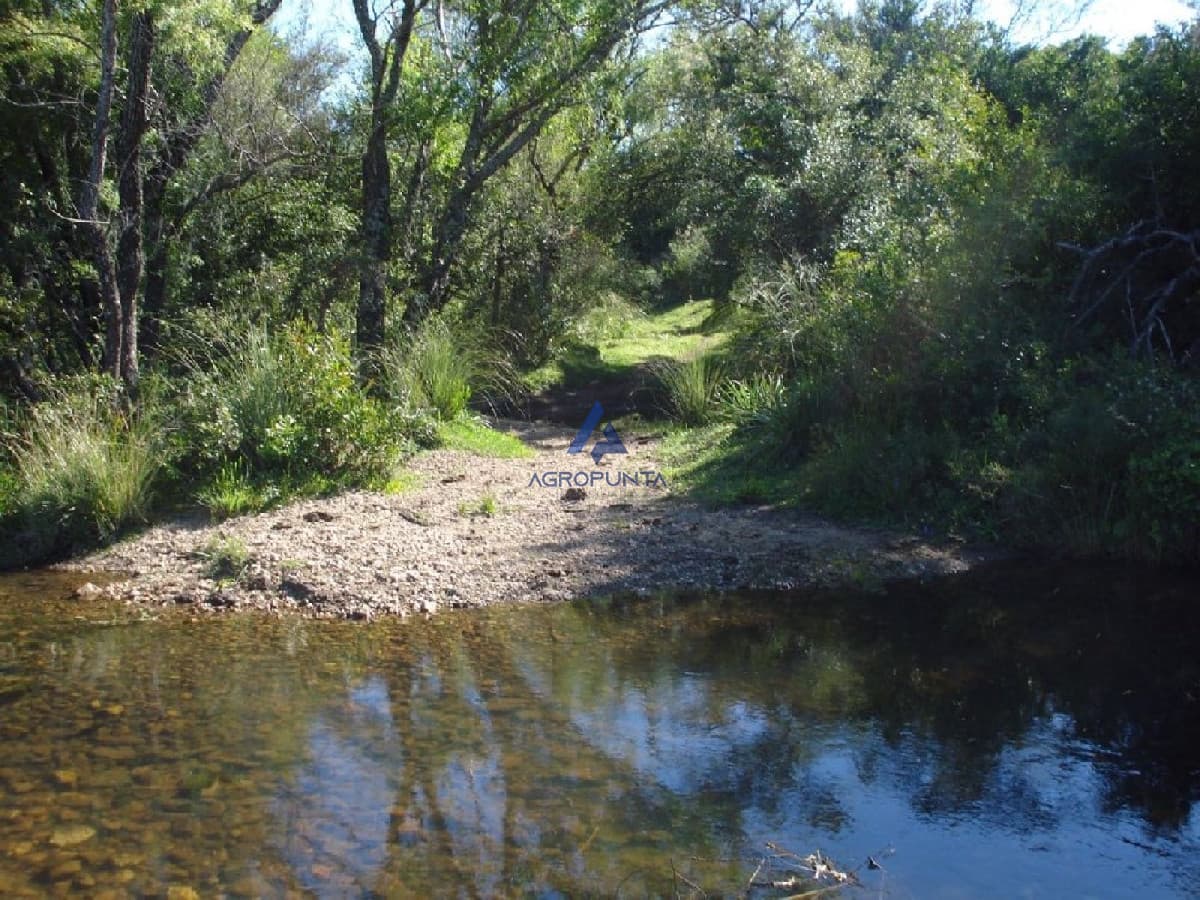 Campo 96 has en Carape cuenta con costa de arroyo.