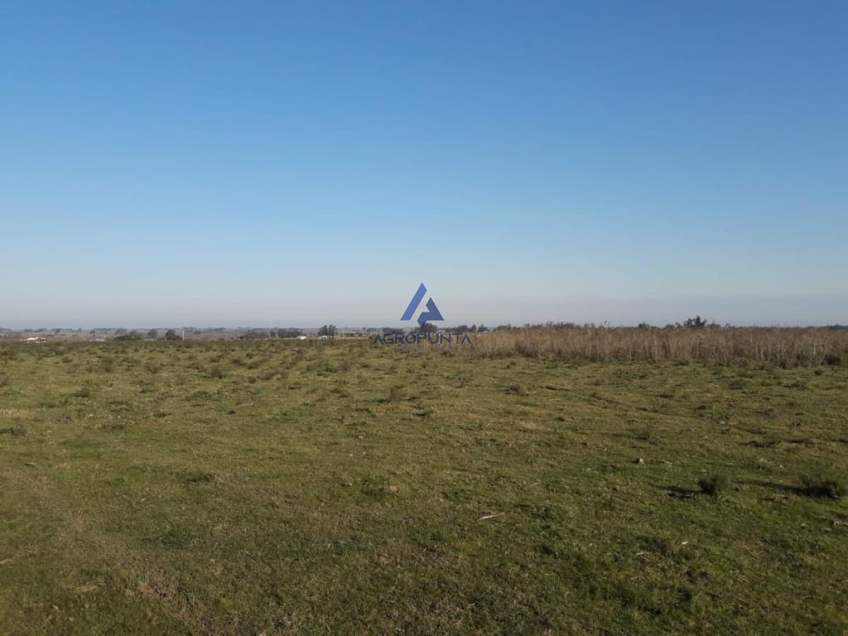 Campo de 66 has con 1991 m2 - En Corte la Leña - Consulte!!!