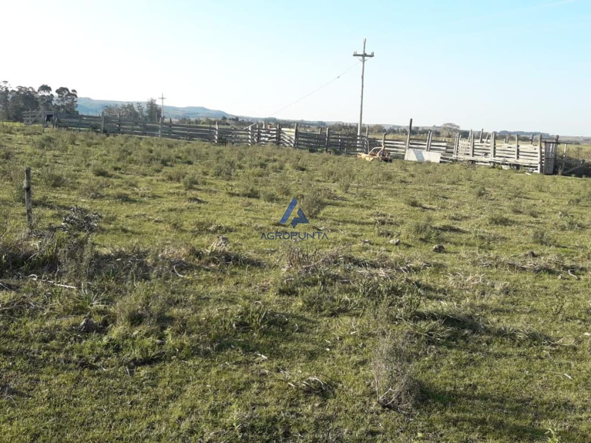 Campo de 66 has con 1991 m2 - En Corte la Leña - Consulte!!!