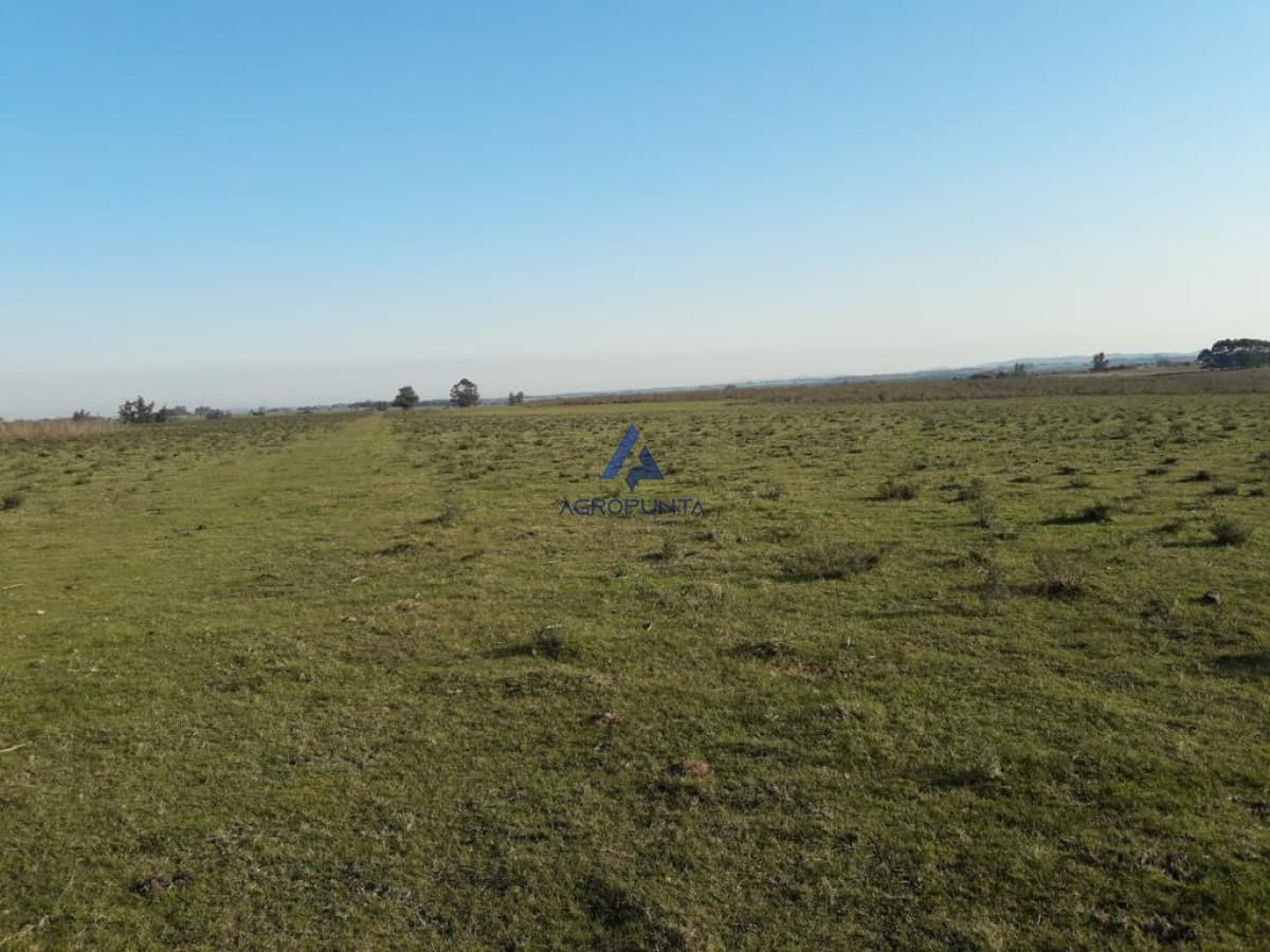 Campo de 66 has con 1991 m2 - En Corte la Leña - Consulte!!!