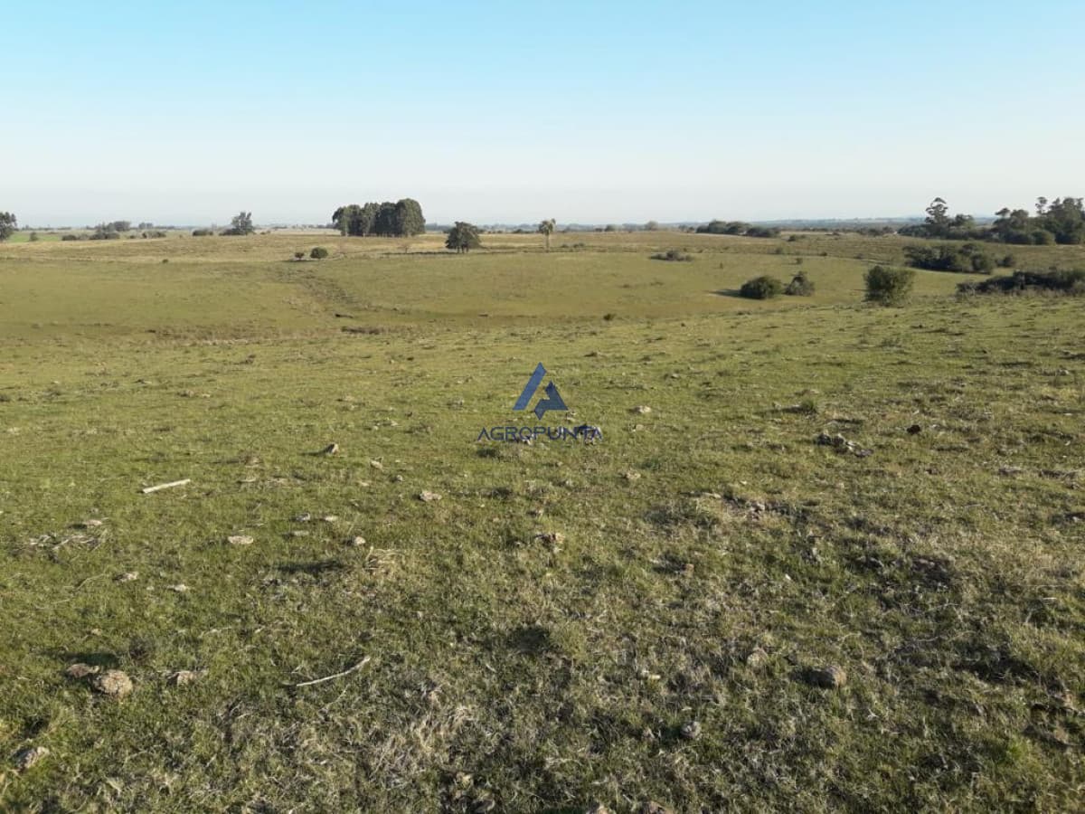 Campo de 66 has con 1991 m2 - En Corte la Leña - Consulte!!!