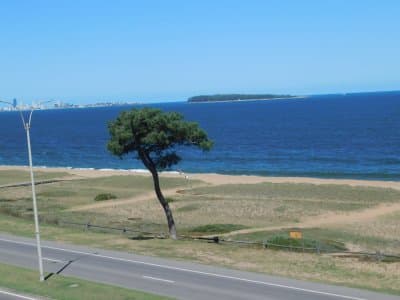 APARTAMENTO FRENTE AL MAR EN PUNTA DEL ESTE PLAYA MANSA 3 DORMITORIOS  -