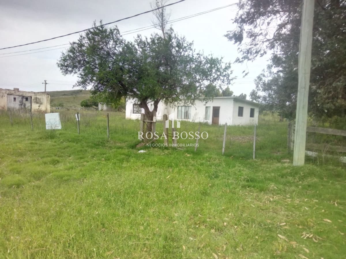Chacra a 15 minutos Punta Ballena.