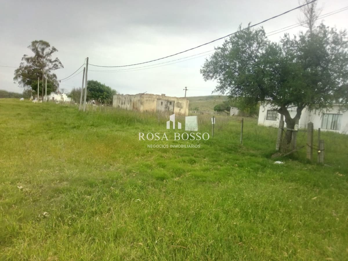 Chacra a 15 minutos Punta Ballena.