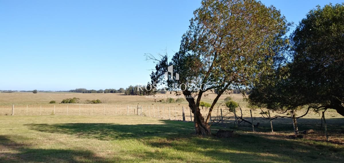 Venta Chacra zona José Ignacio de 6575 m2