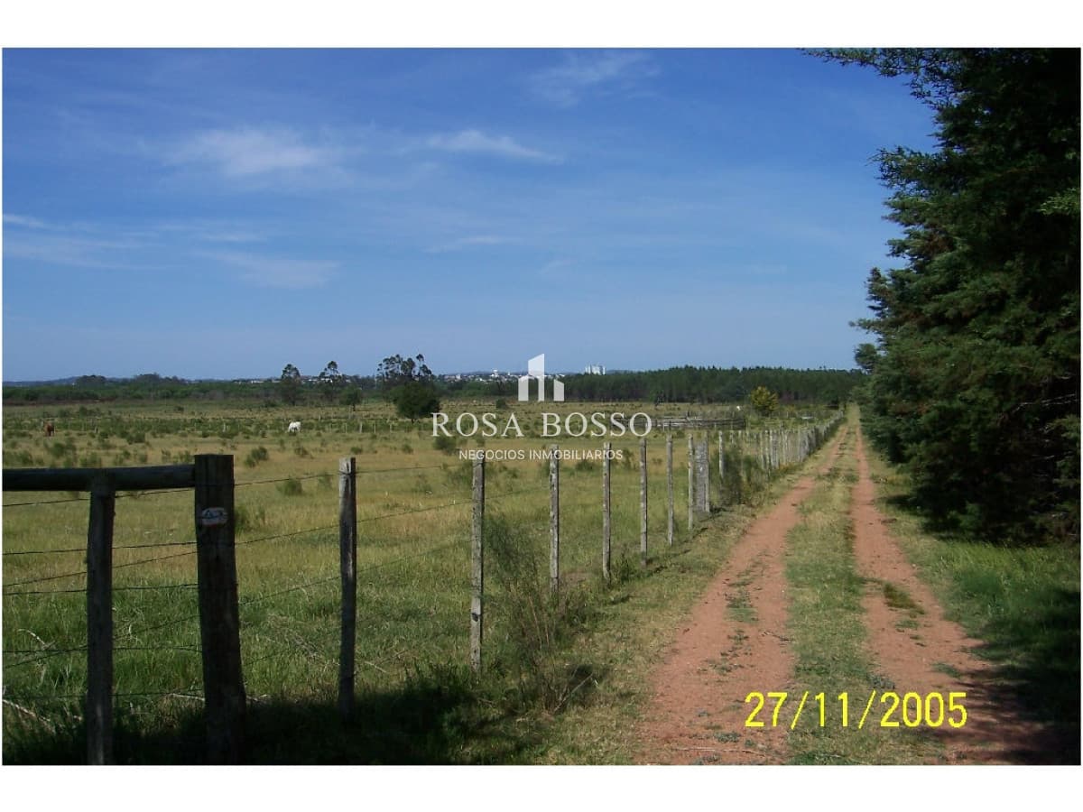 Chacra, Venta, Ruta 9, 5 has.