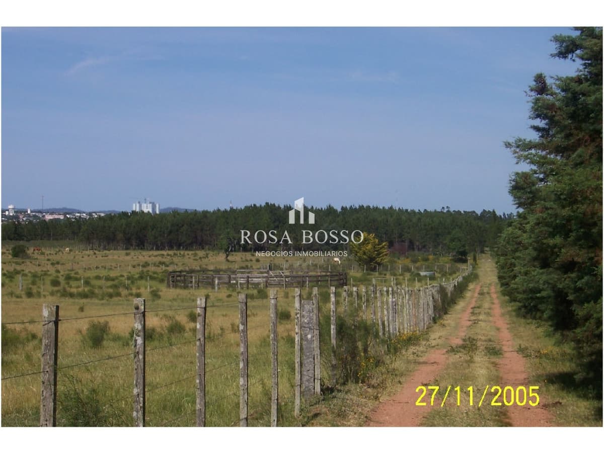 Chacra, Venta, Ruta 9, 5 has.