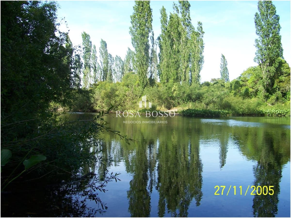 Chacra, Venta, Ruta 9, 5 has.