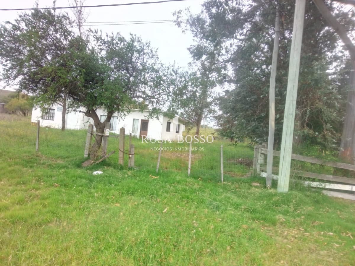 Chacra a 15 minutos Punta Ballena.