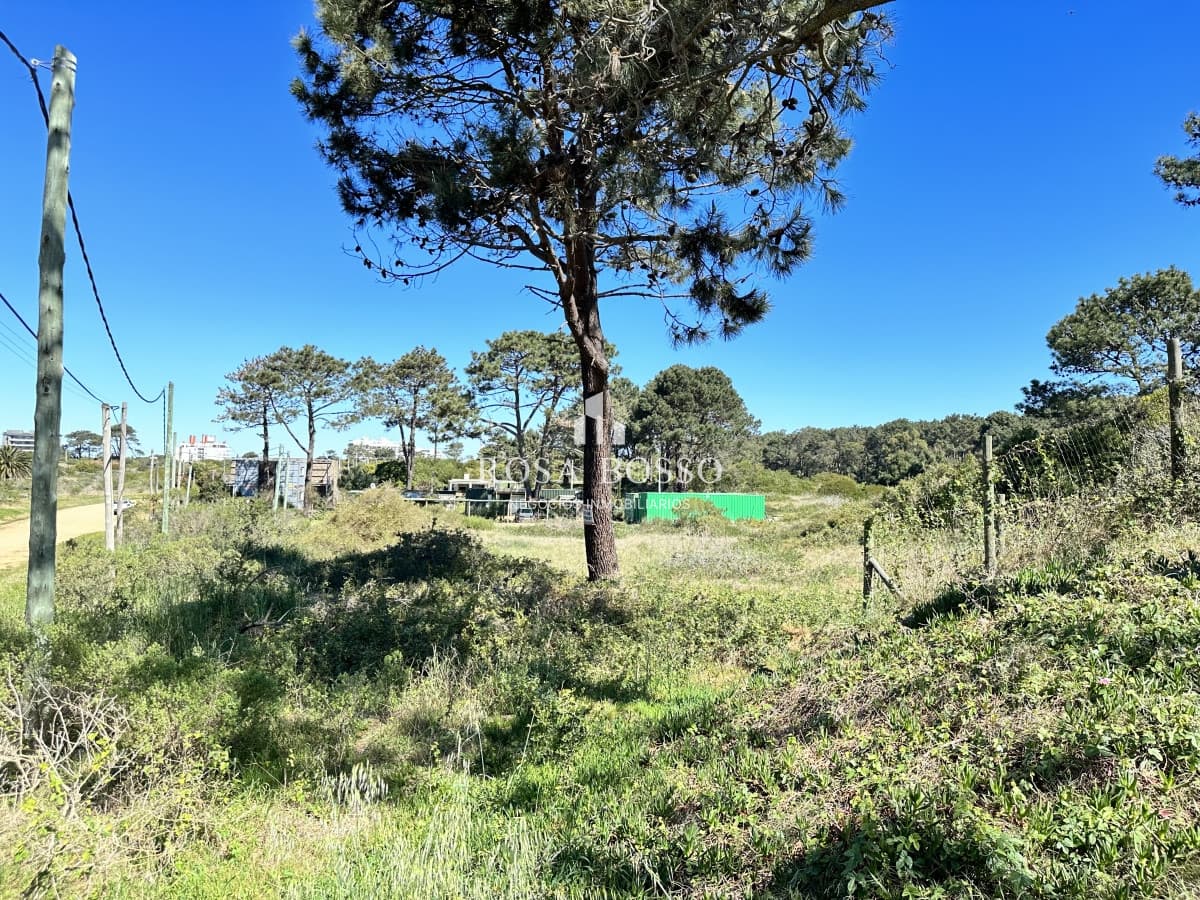 Terreno, Venta, El Placer, Punta del Este