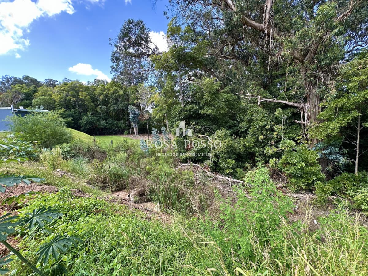 Terreno en Venta Punta Ballena, 1130 m2