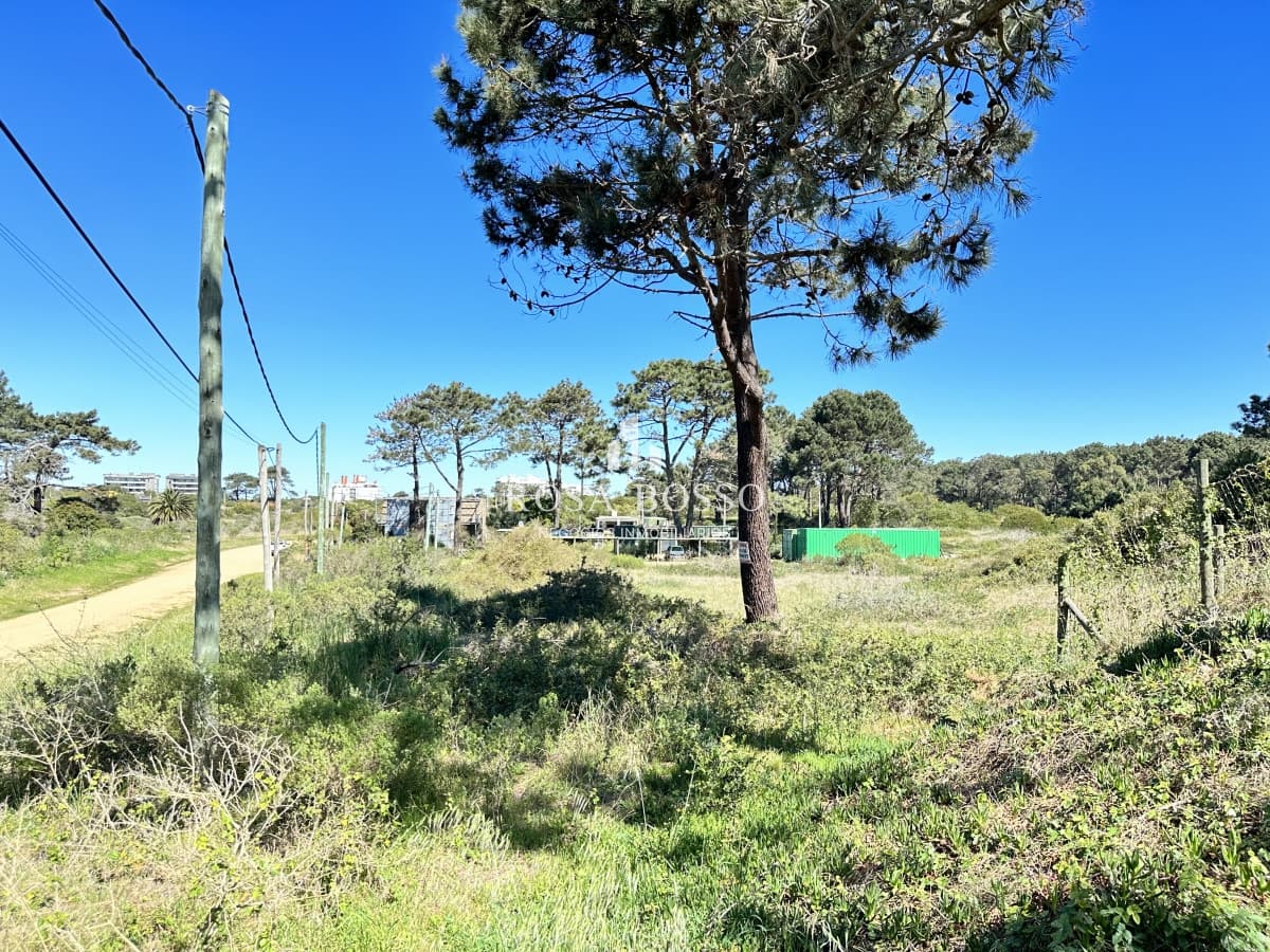 Terreno, Venta, El Placer, Punta del Este