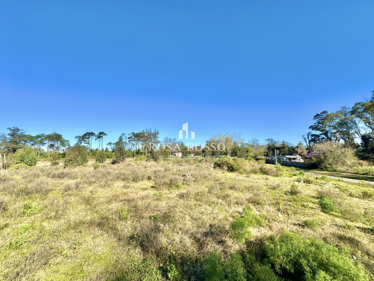 Venta Terreno Punta del Este
