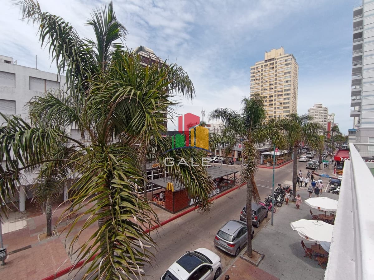 ALQUILER ANUAL, 2 dormitorios, Península, Punta del Este  -