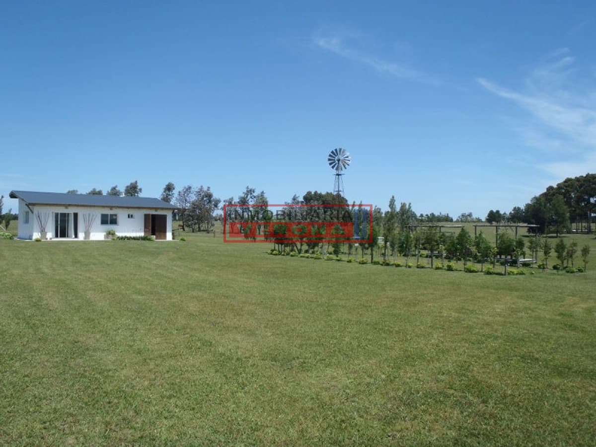- Inmobiliaria Verona Punta