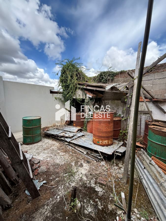 inversión en San Carlos!