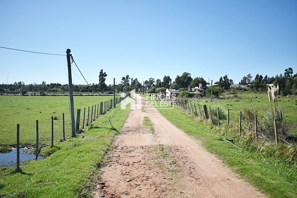 CHACRA SAN CARLOS RUTA 9