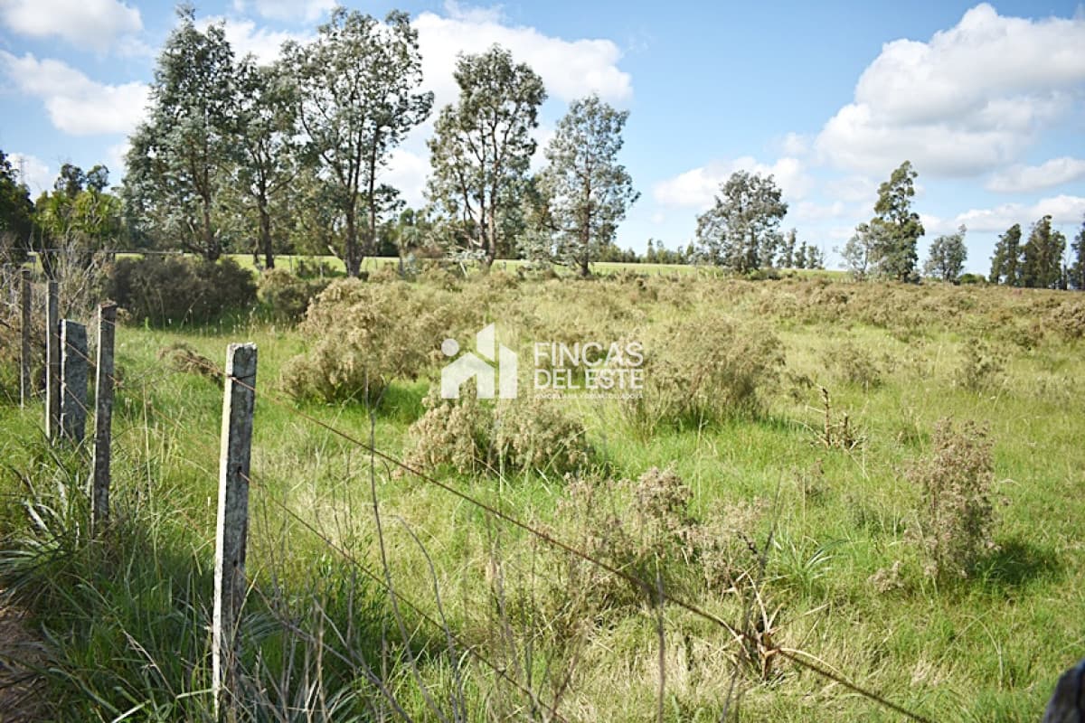 CHACRA SAN CARLOS