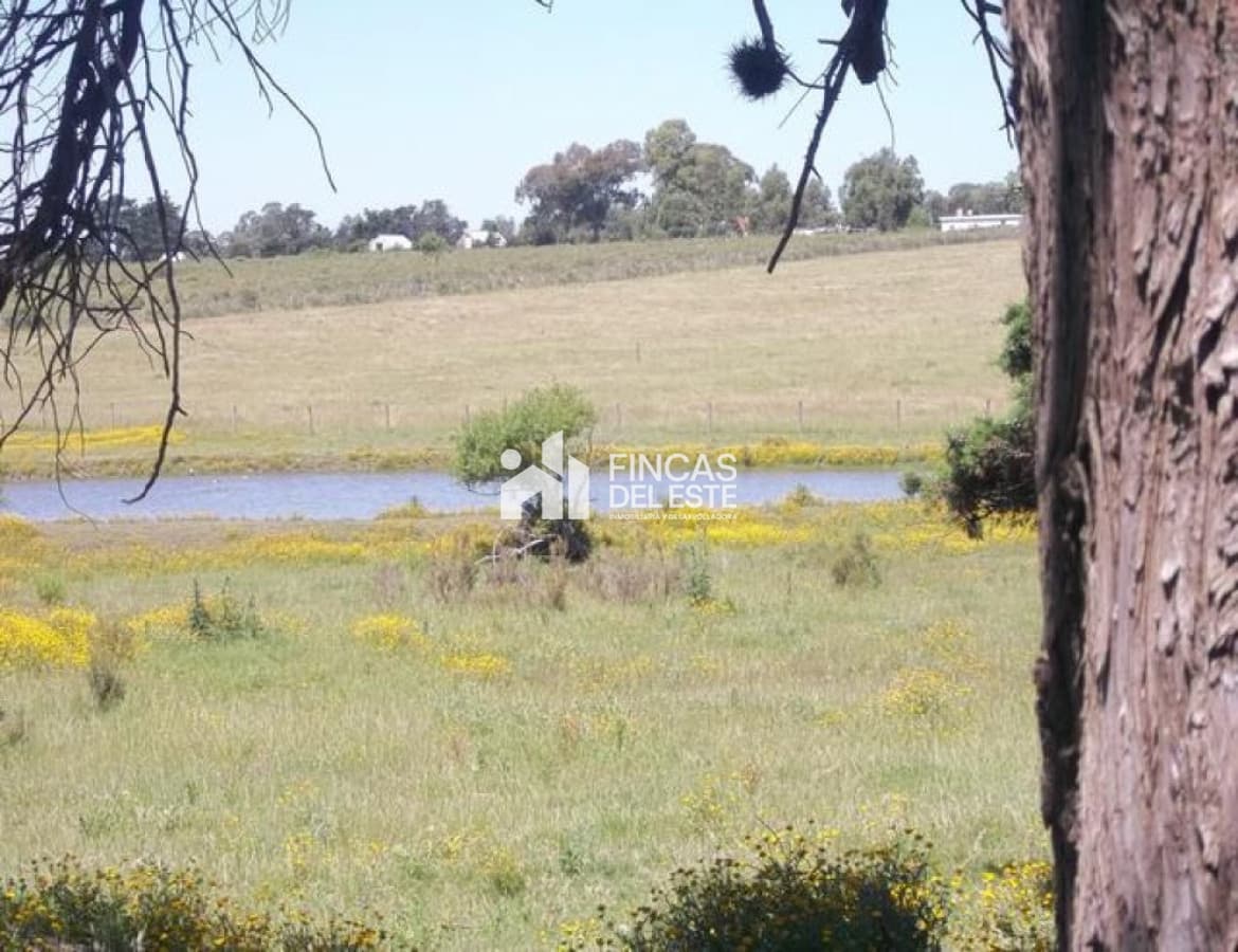 Chacra cercana a Laguna de los Cisnes