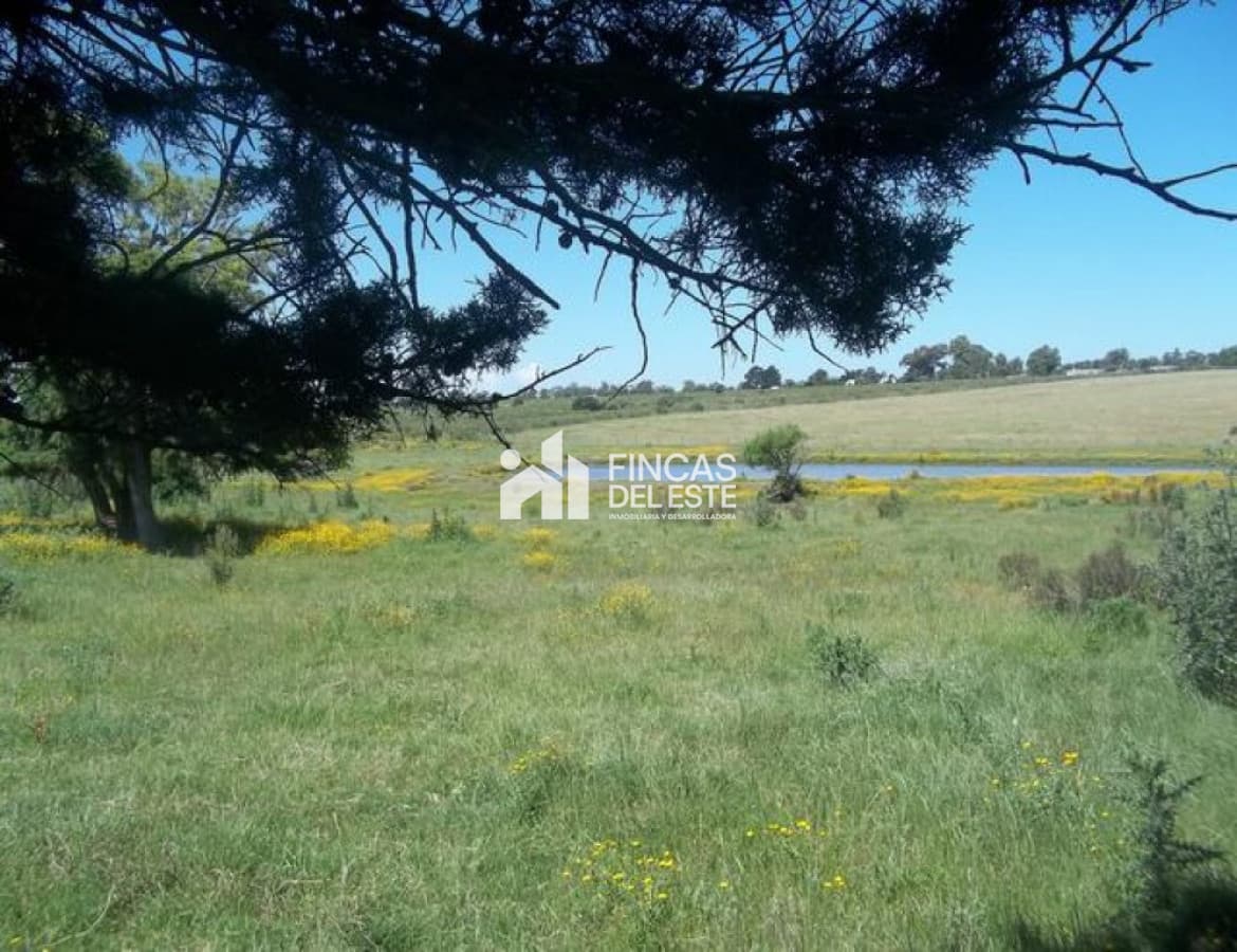 Chacra cercana a Laguna de los Cisnes