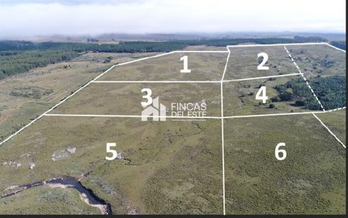 Oportunidad Chacras en ruta 12