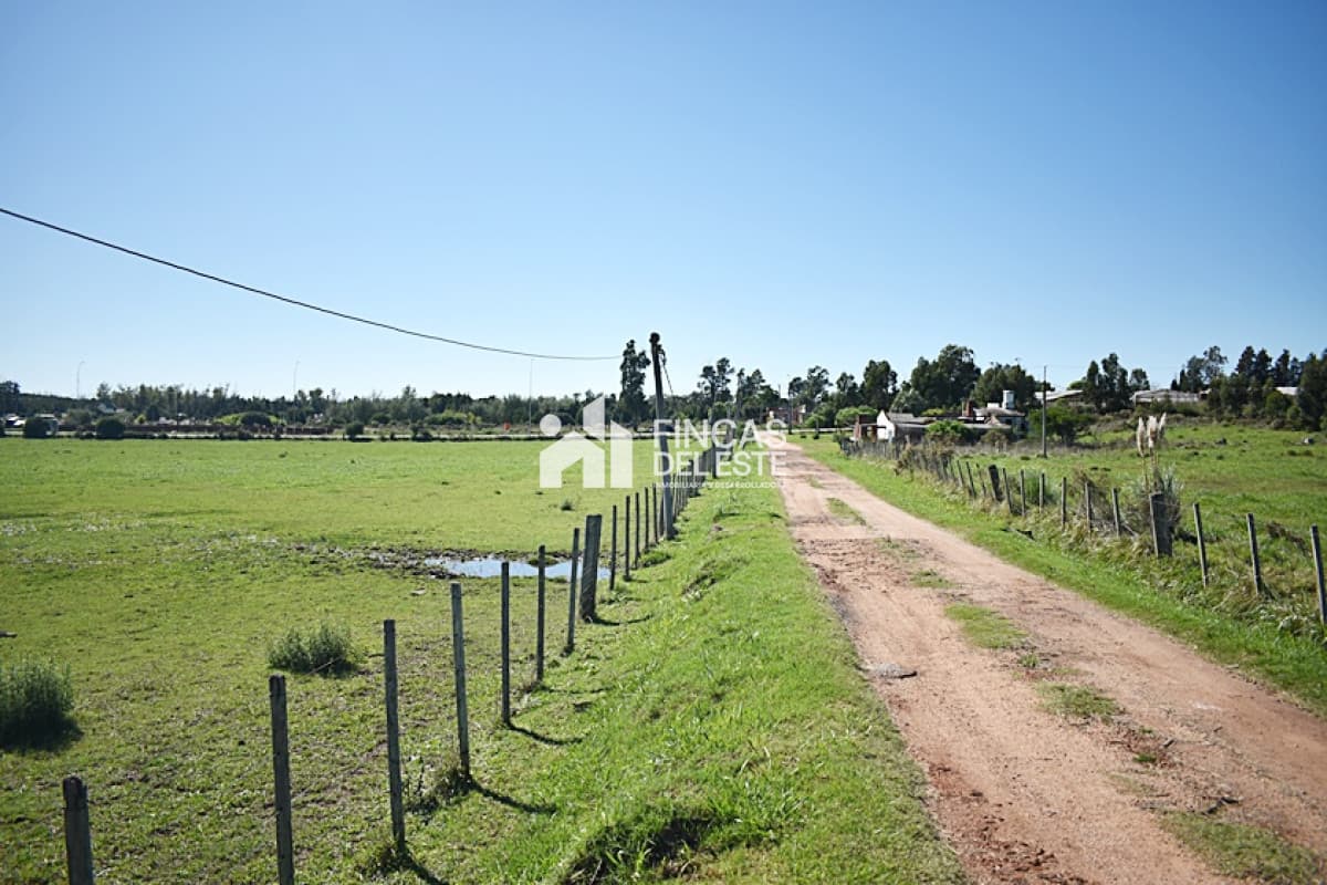 CHACRA SAN CARLOS RUTA 9