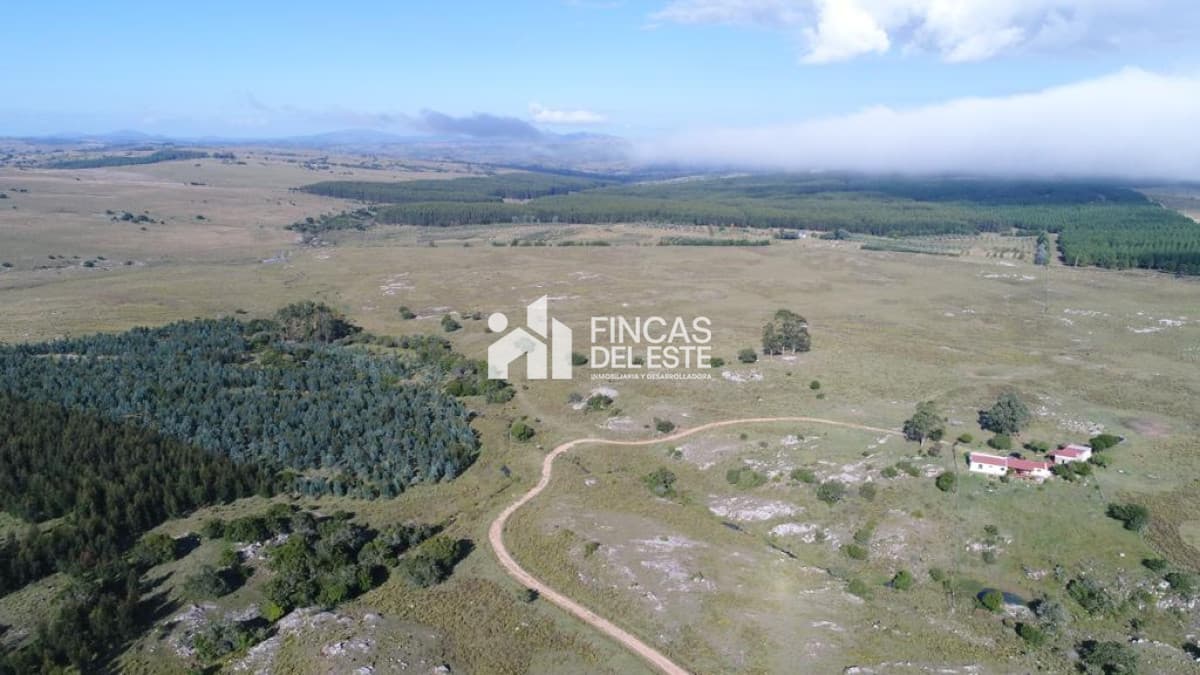 Oportunidad Chacras en ruta 12