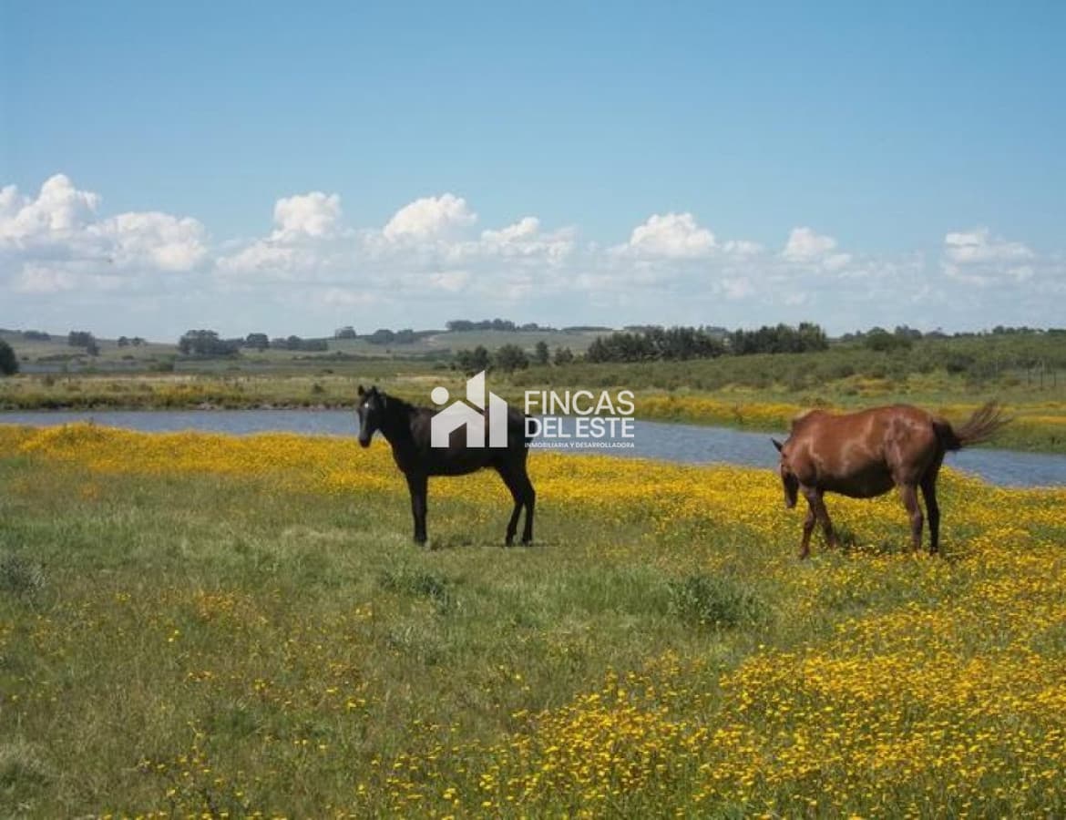 Chacra cercana a Laguna de los Cisnes